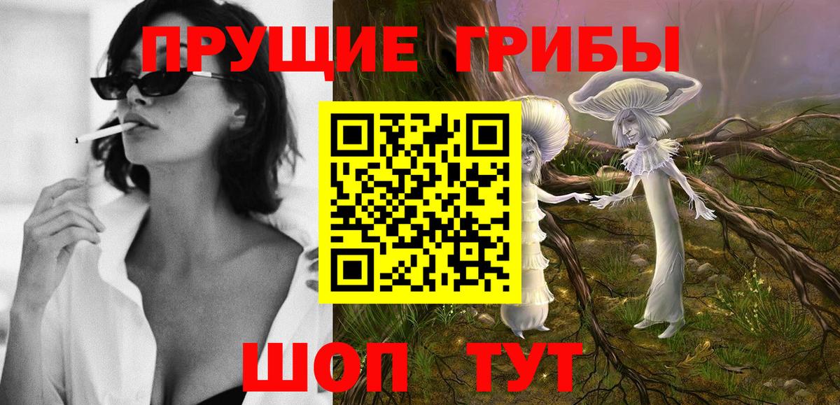 продажа наркотиков  Вход с VPN  Галлюциногенные грибы Cubensis  Железногорск  Галлюциногенные грибы Psilocybe 